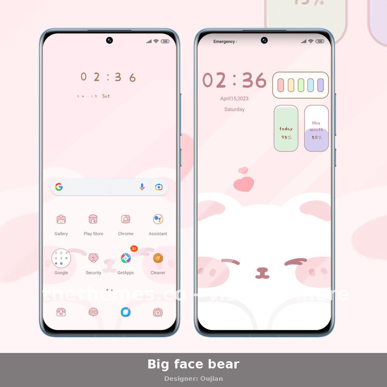 Big face bear