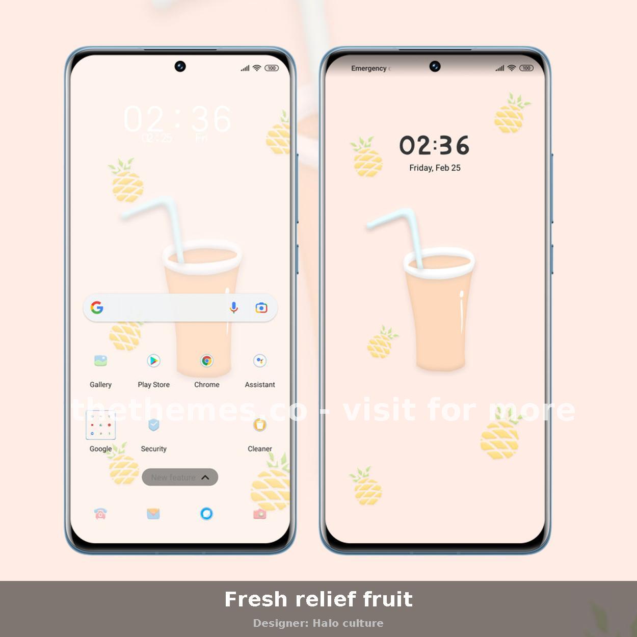 Fresh relief fruit