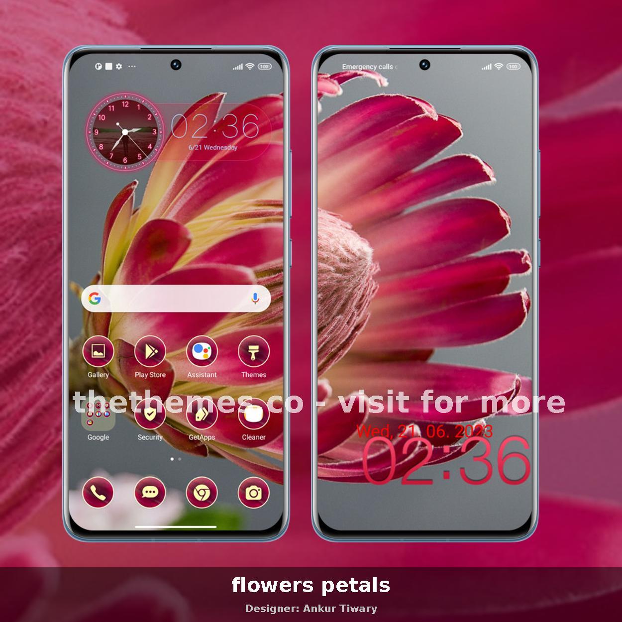 flowers petals