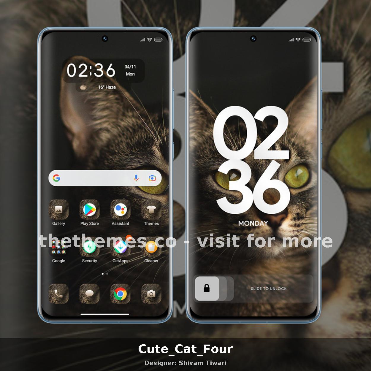 Cute_Cat_Four