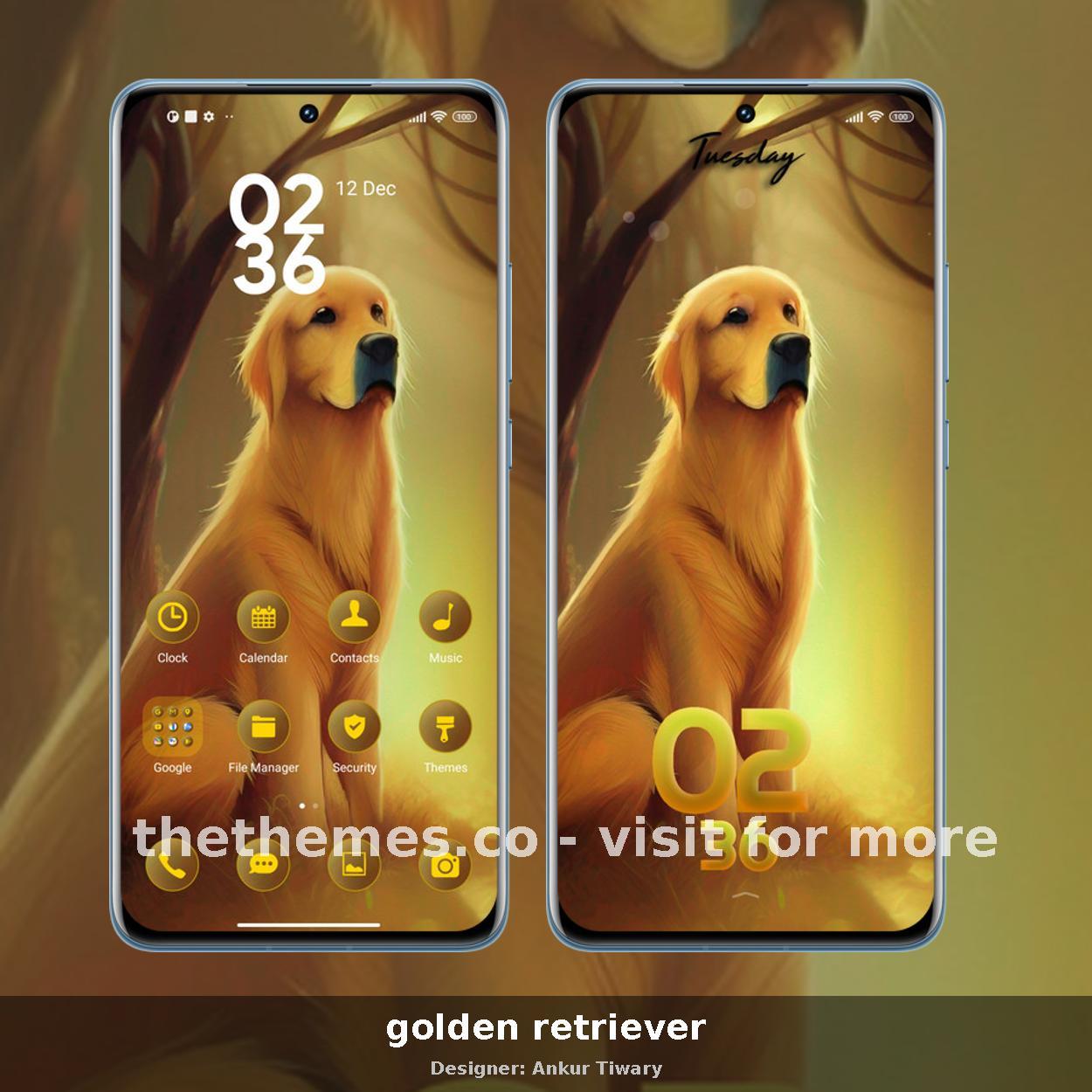 golden retriever