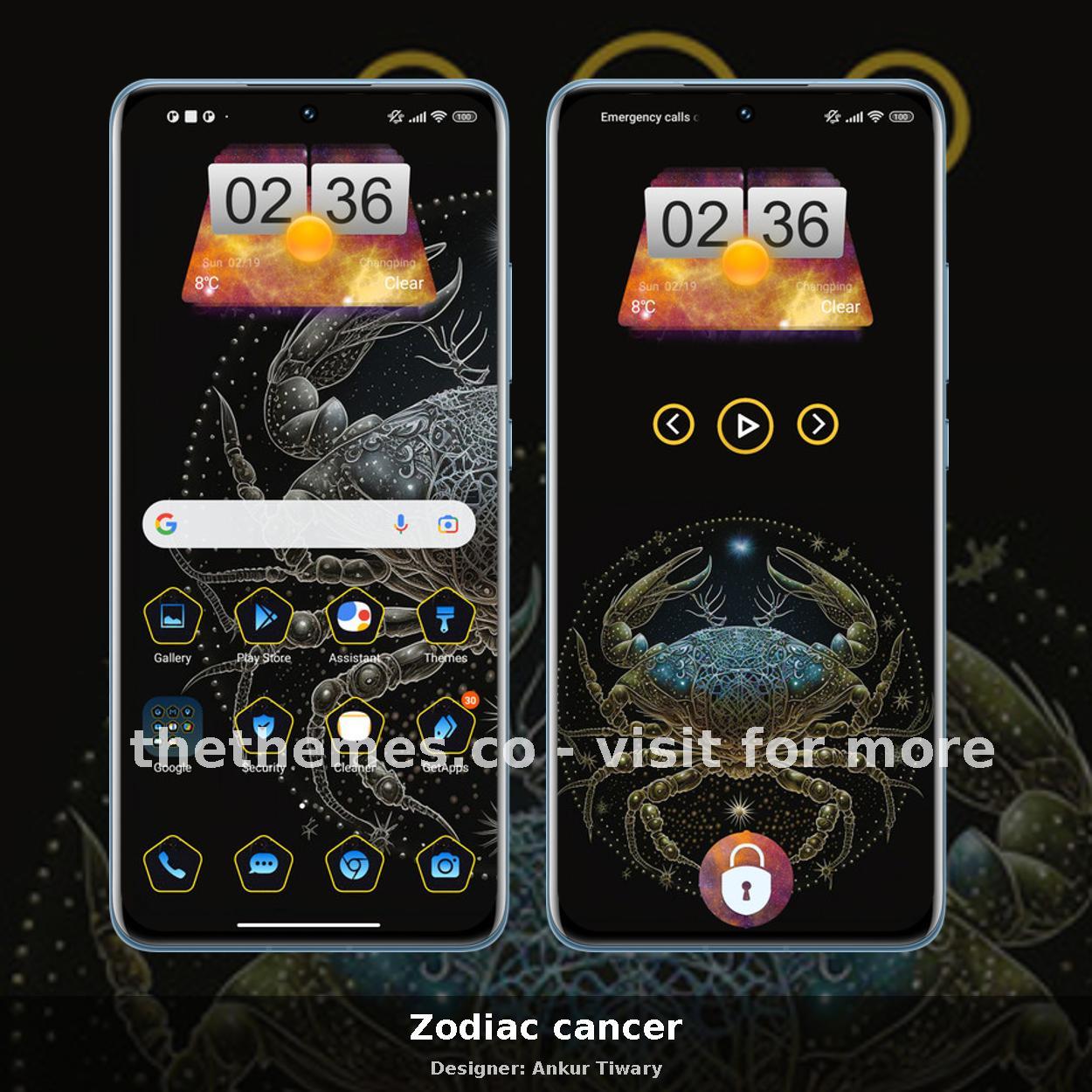 Zodiac cancer
