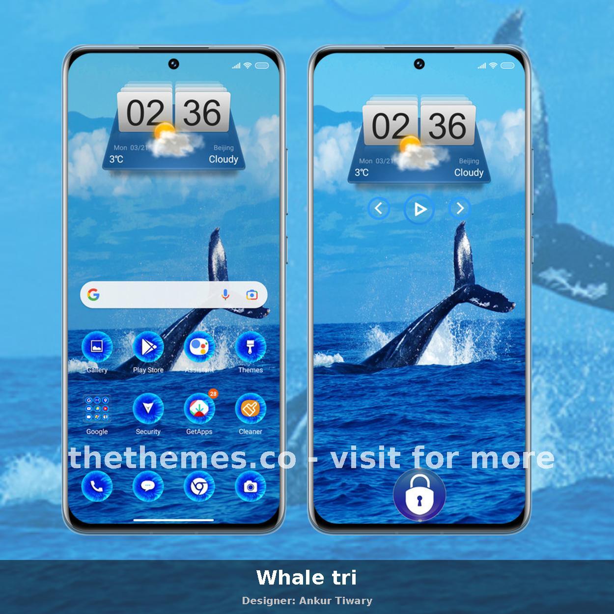 Whale tri