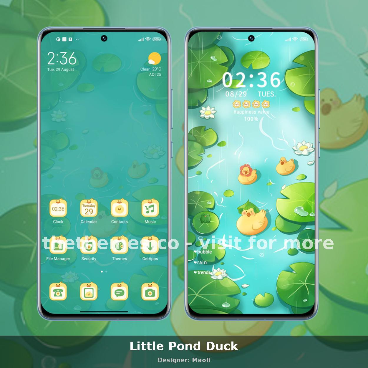 Little Pond Duck