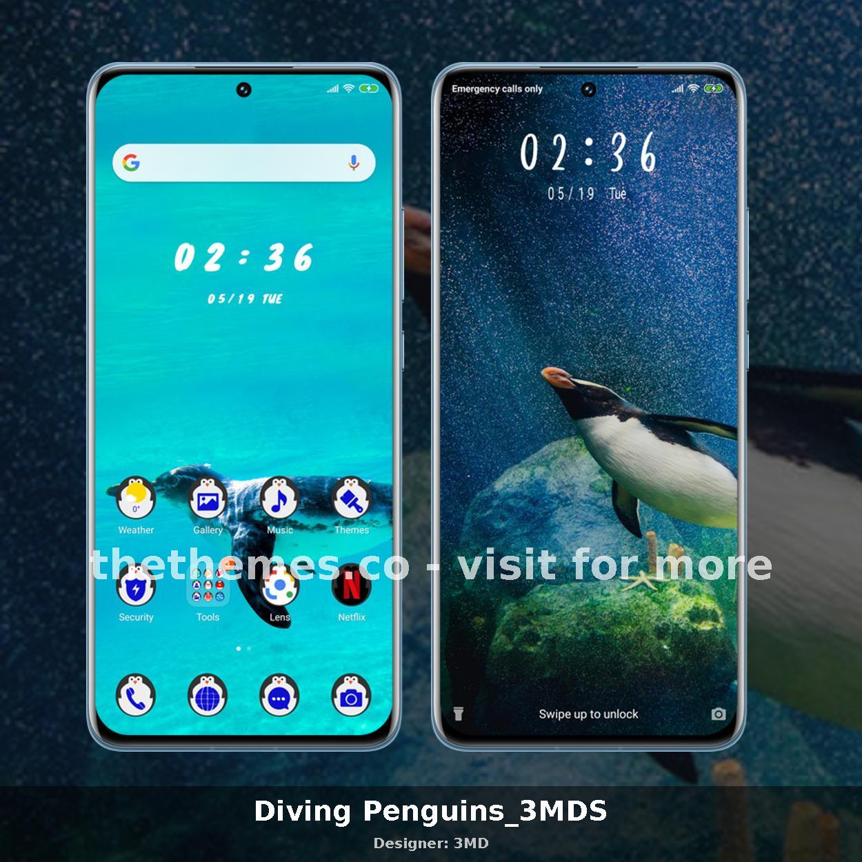 Diving Penguins_3MDS