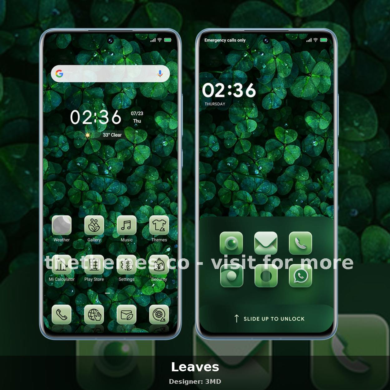 Leaves