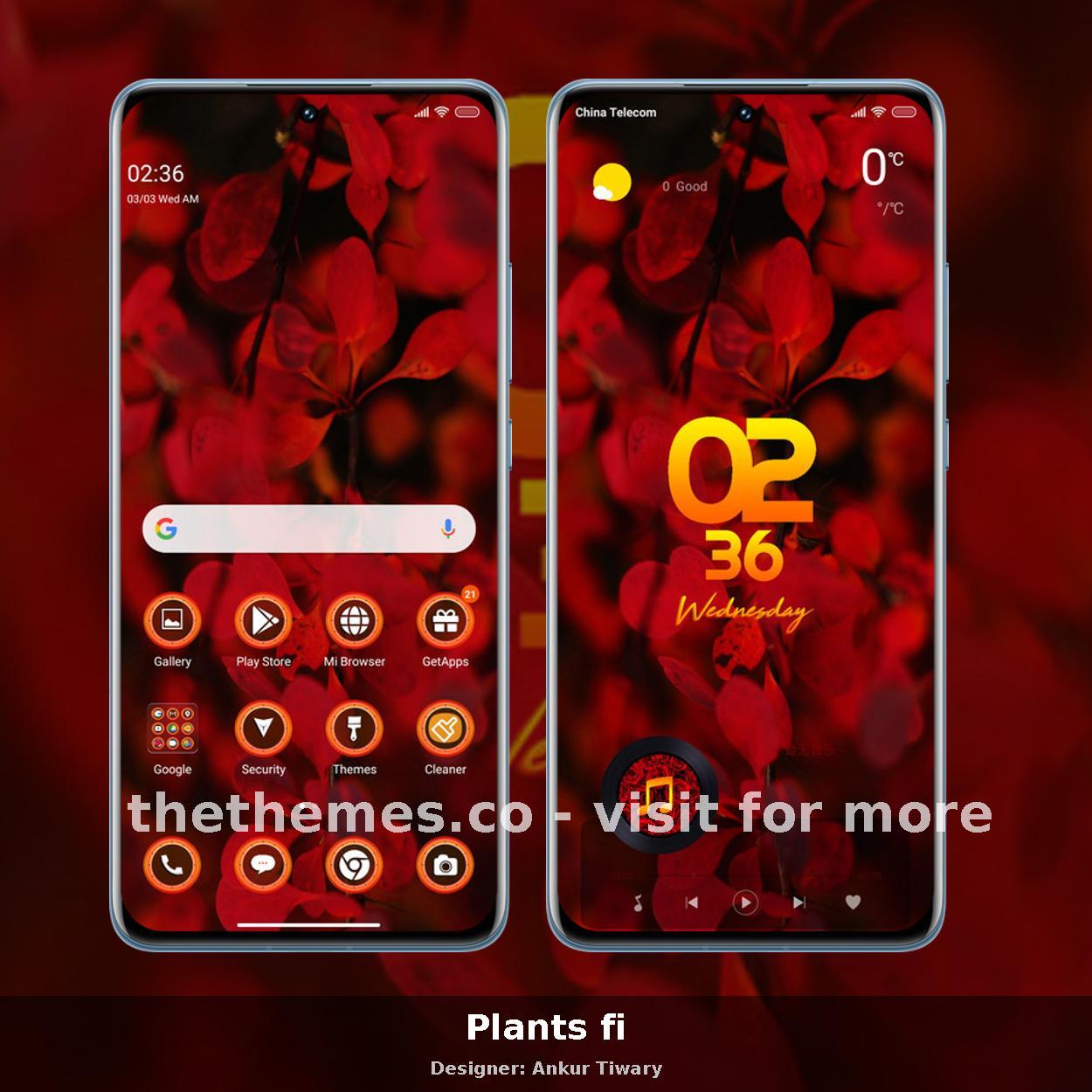 Plants fi