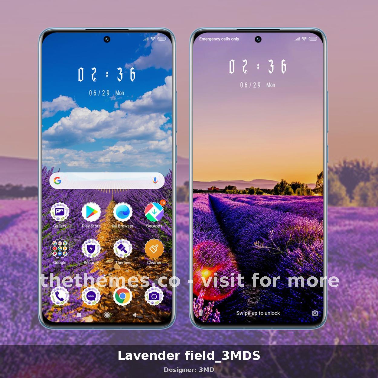 Lavender field_3MDS