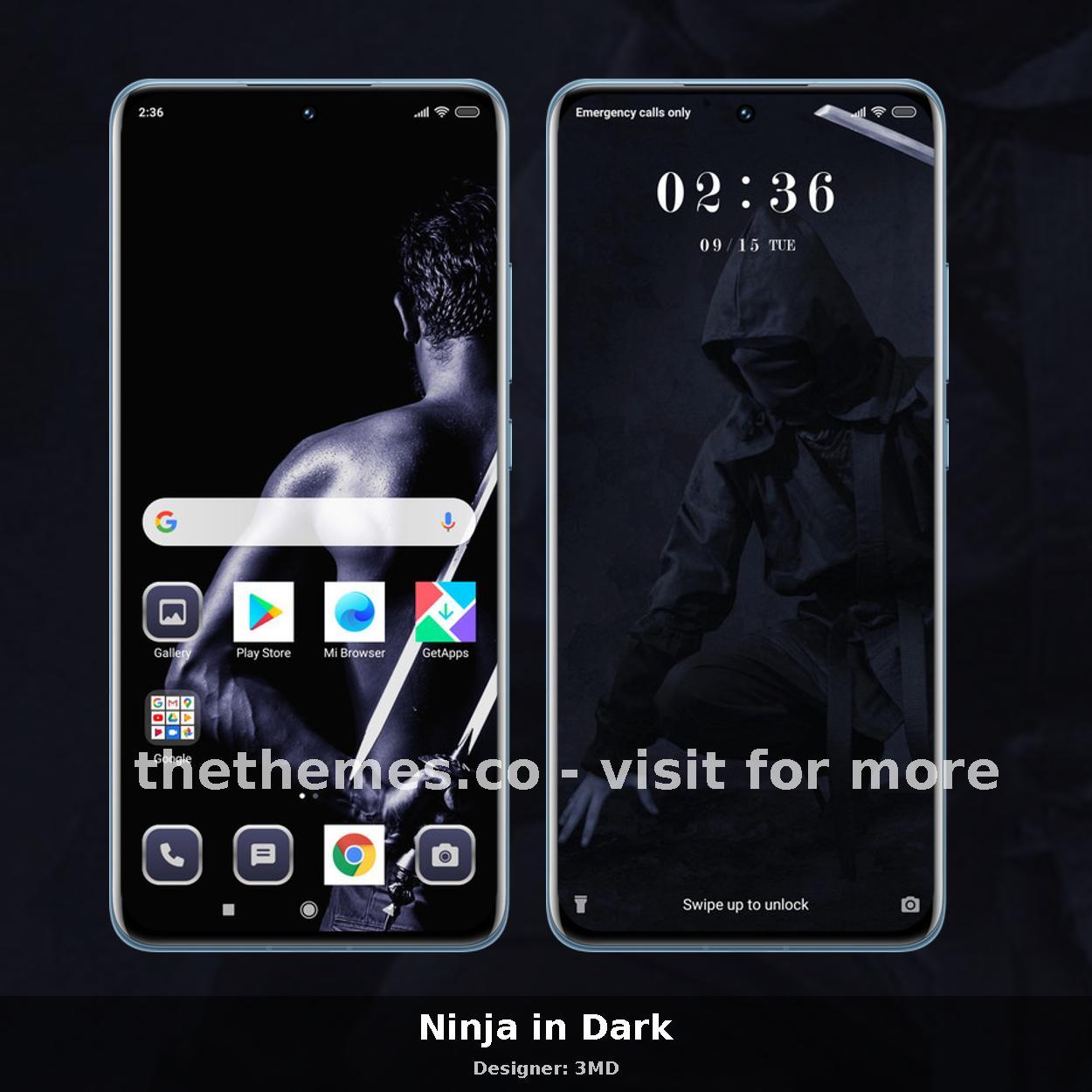 Ninja in Dark