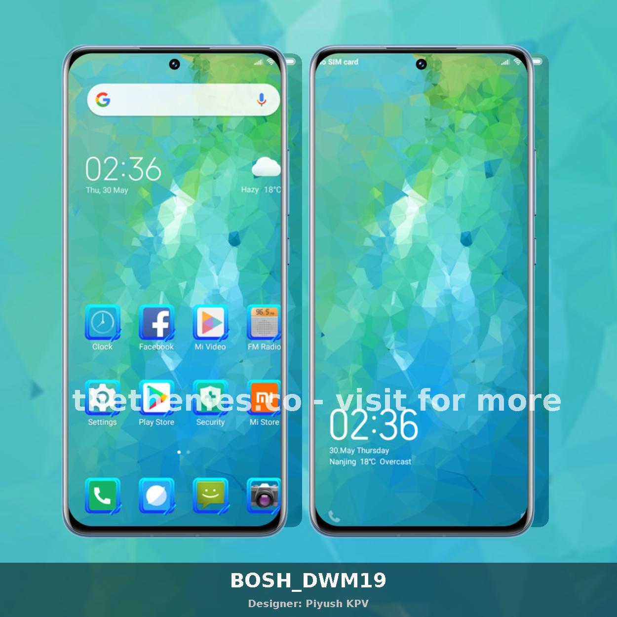 BOSH_DWM19