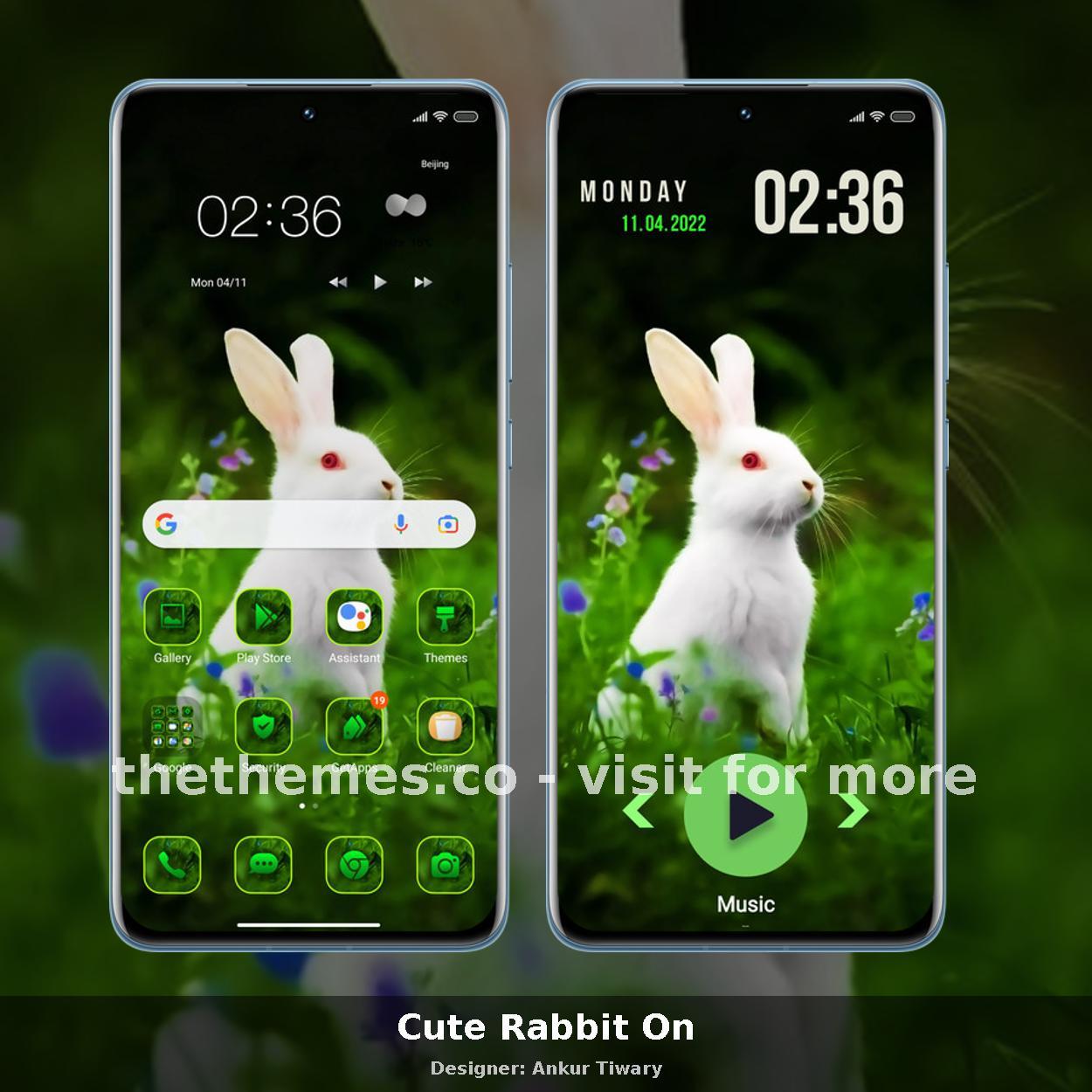 Cute Rabbit On