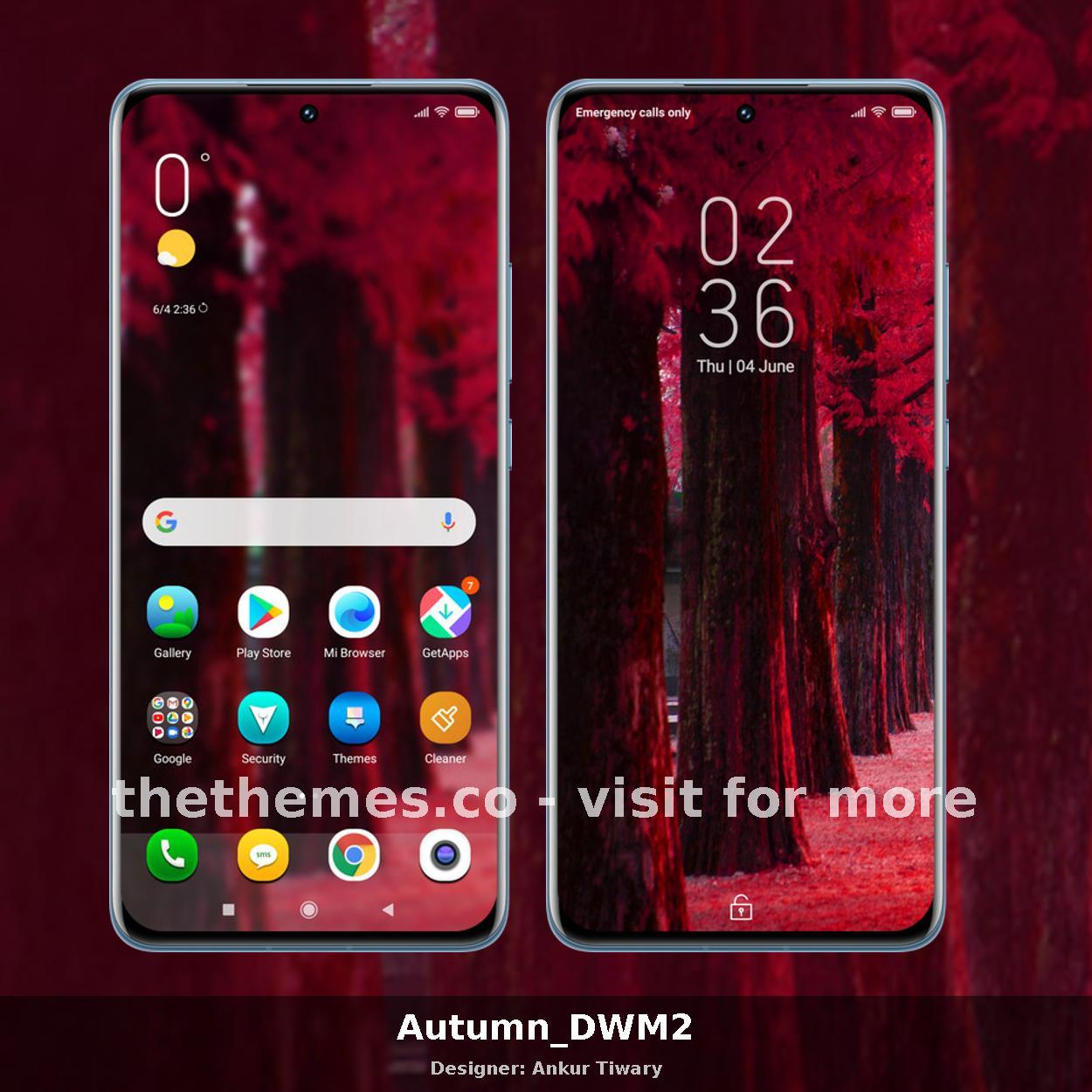 Autumn_DWM2