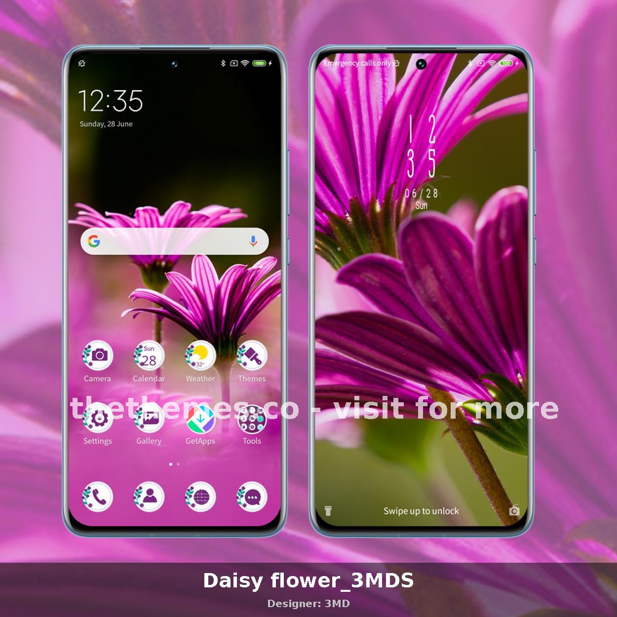 Daisy flower_3MDS