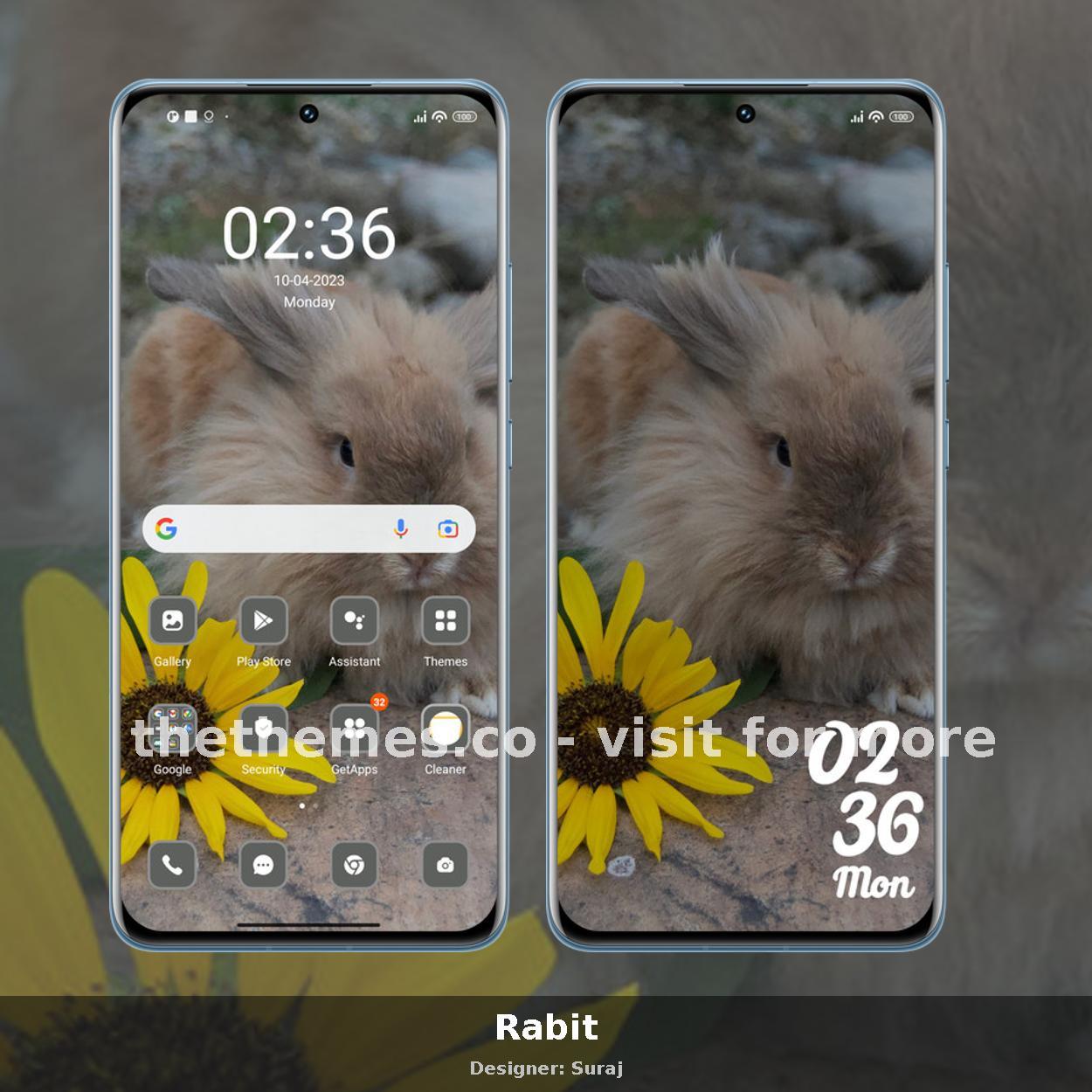 Rabit