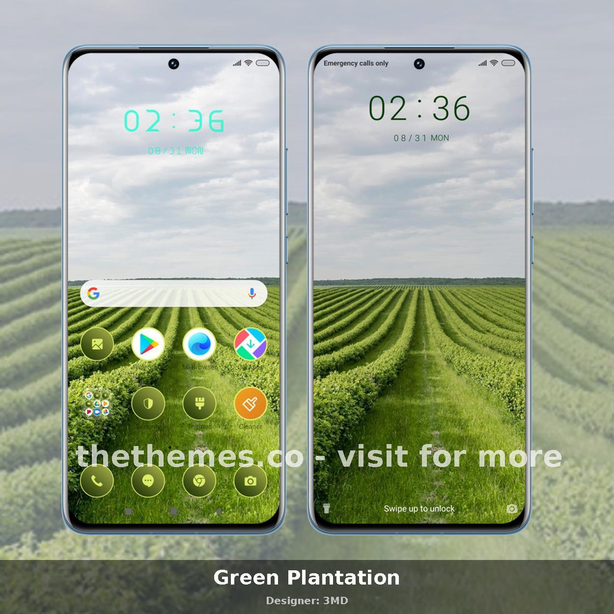 Green Plantation