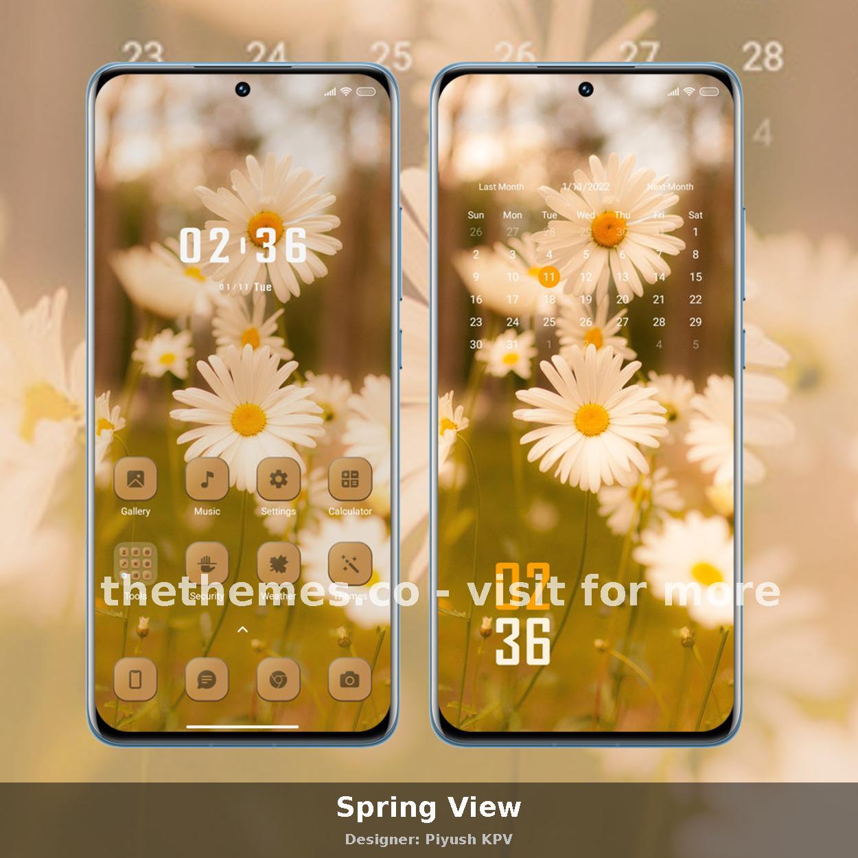 Spring View