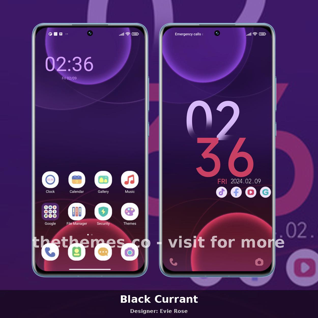 Black Currant