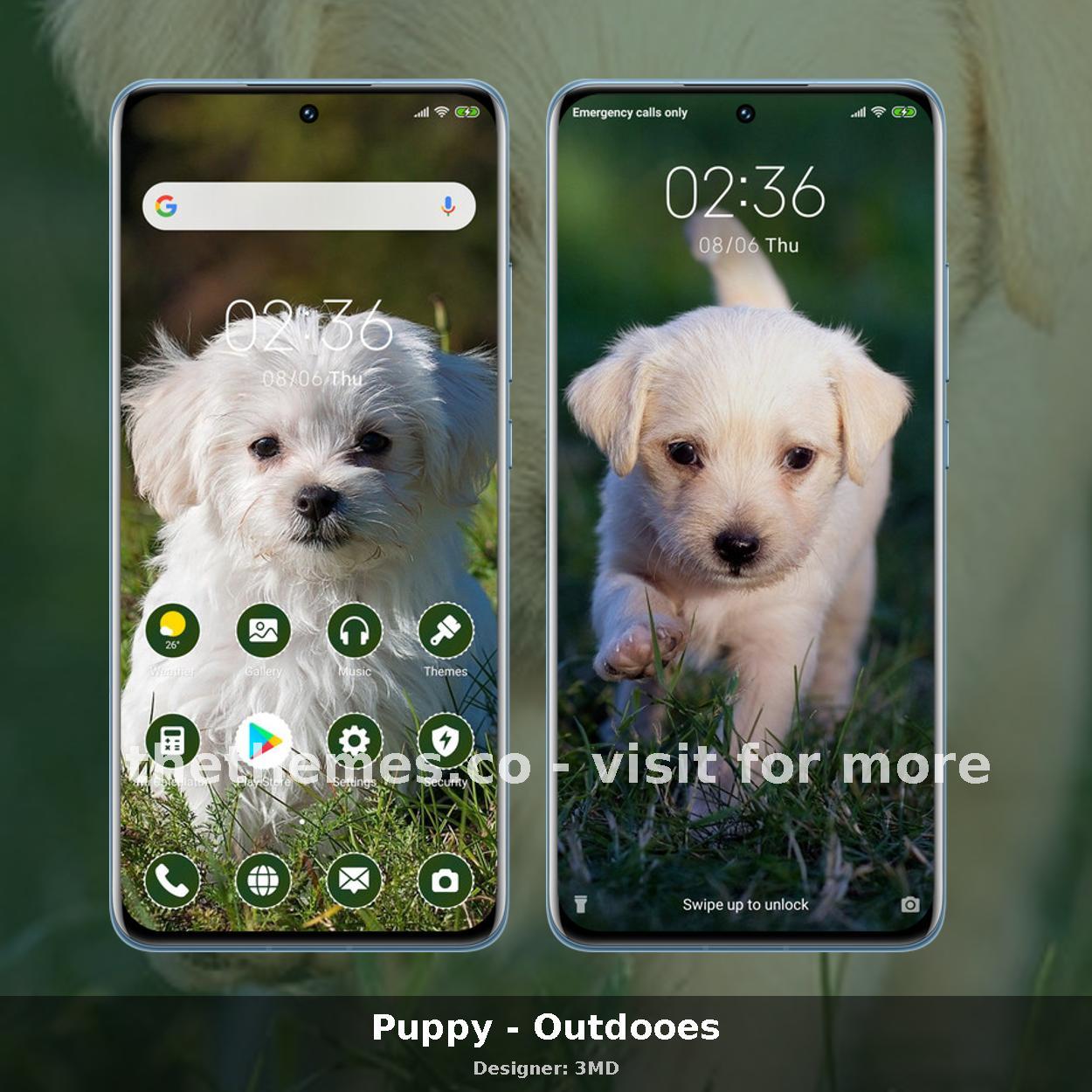 Puppy - Outdooes