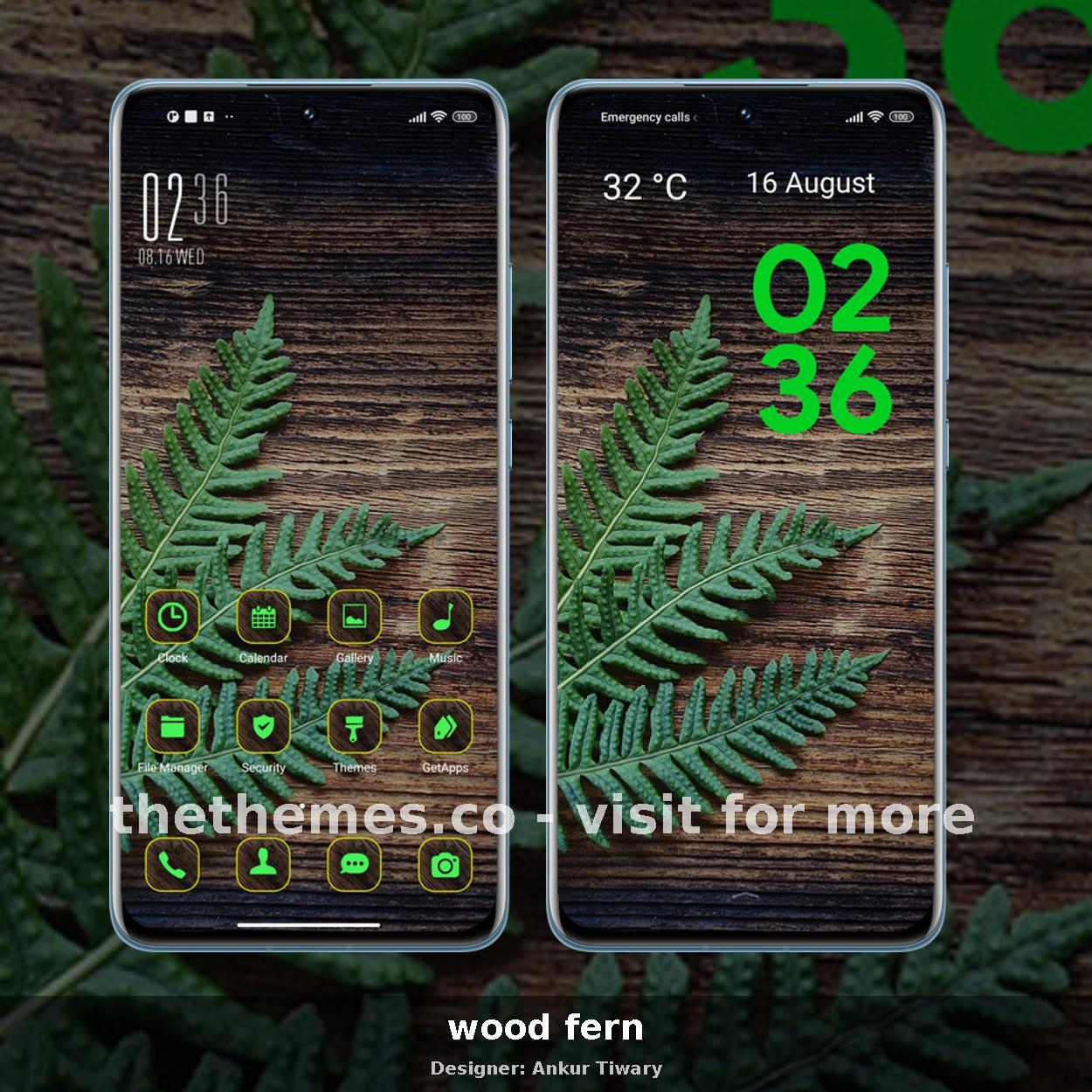 wood fern