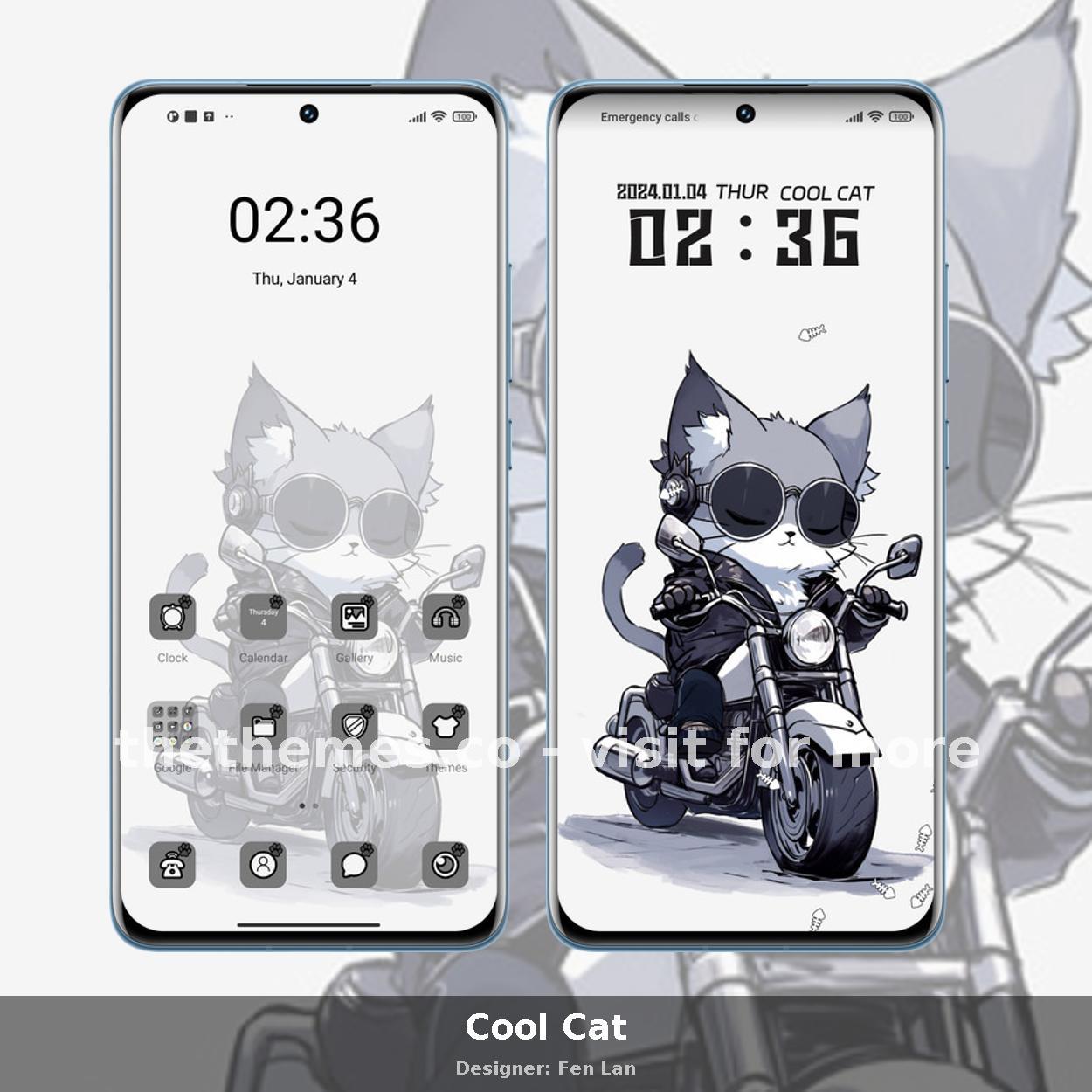 Cool Cat