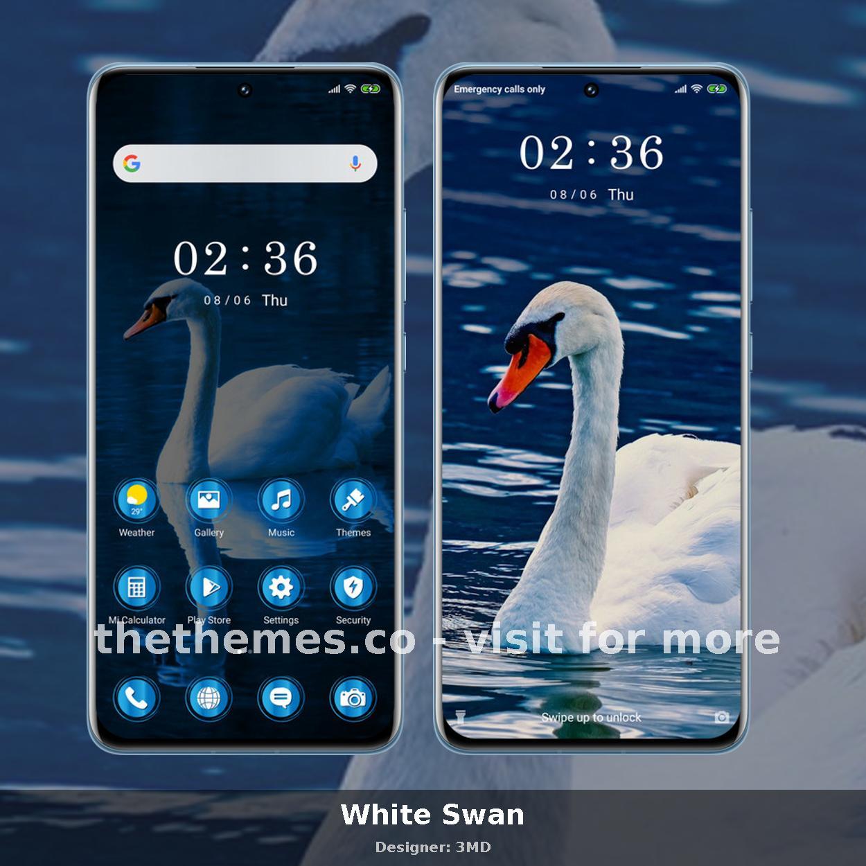 White Swan