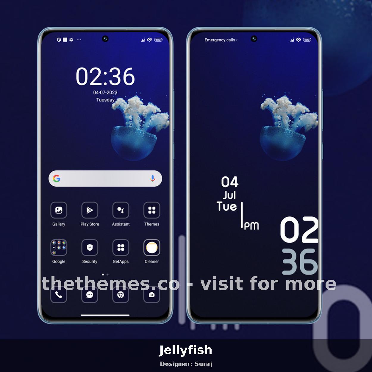 Jellyfish