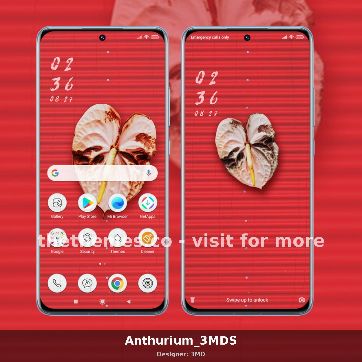 Anthurium_3MDS