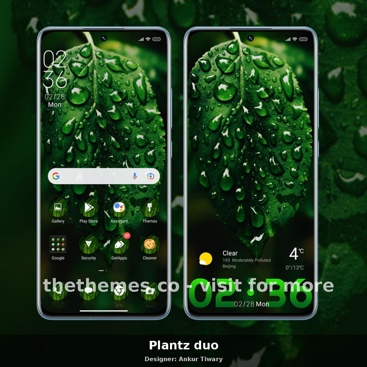 Plantz duo