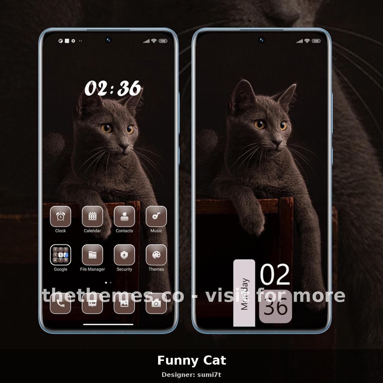 Funny Cat