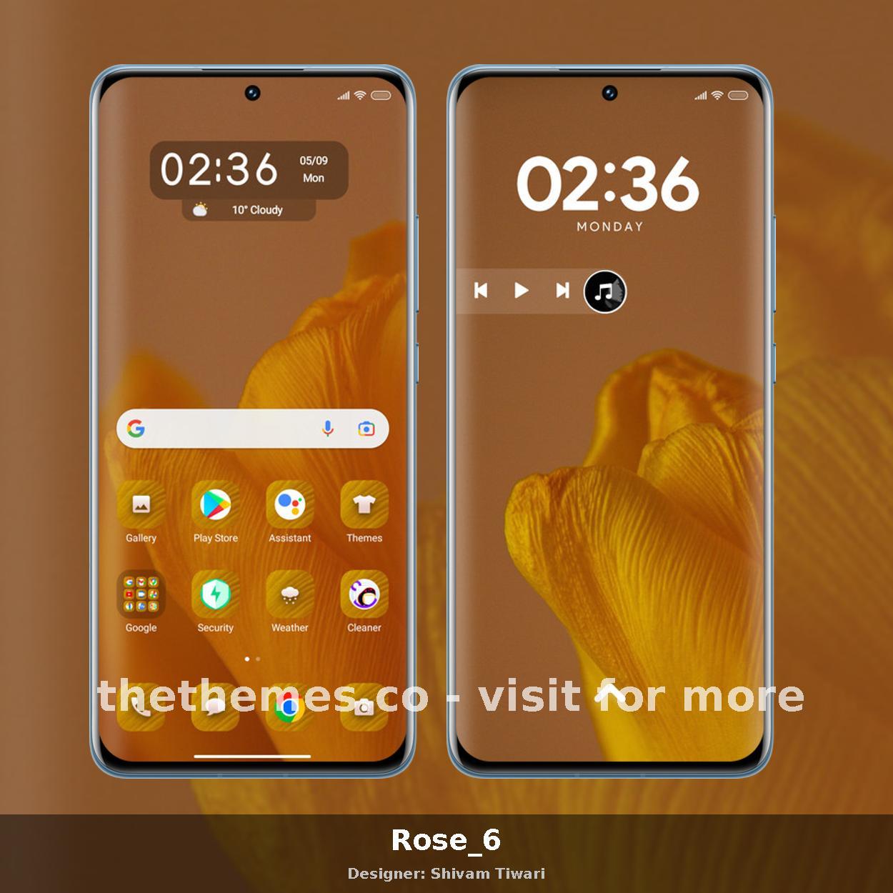 Rose_6