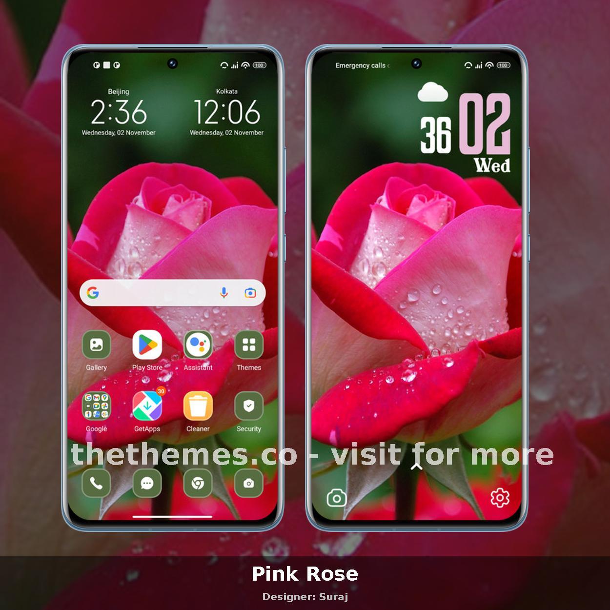 Pink Rose