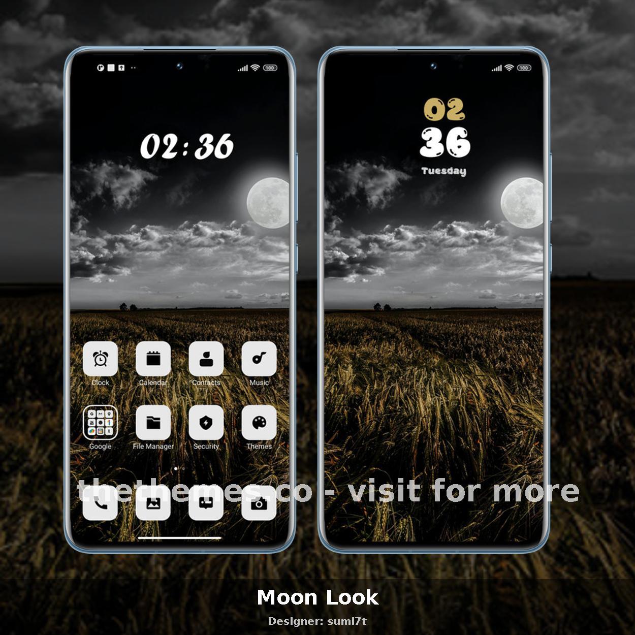 Moon Look