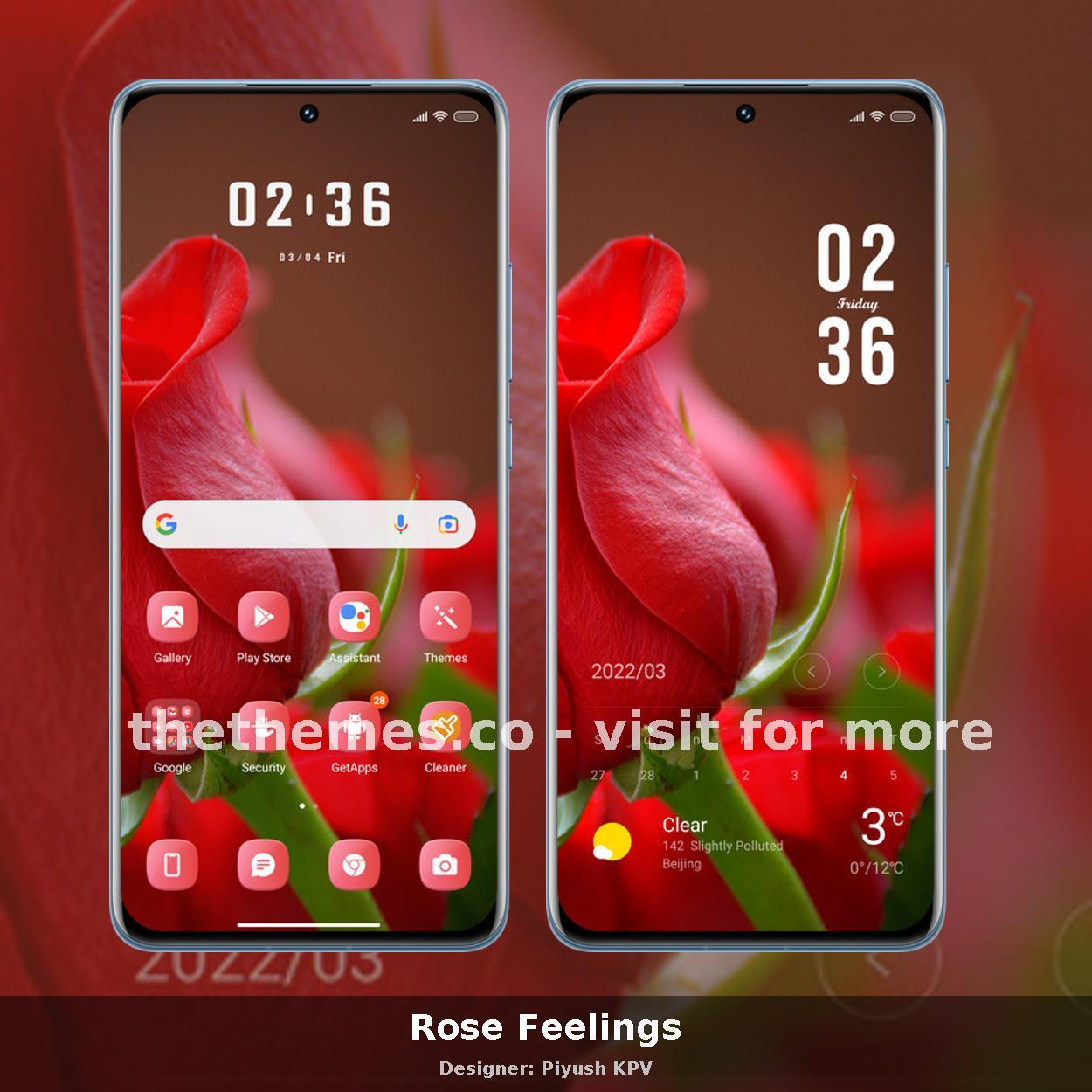 Rose Feelings