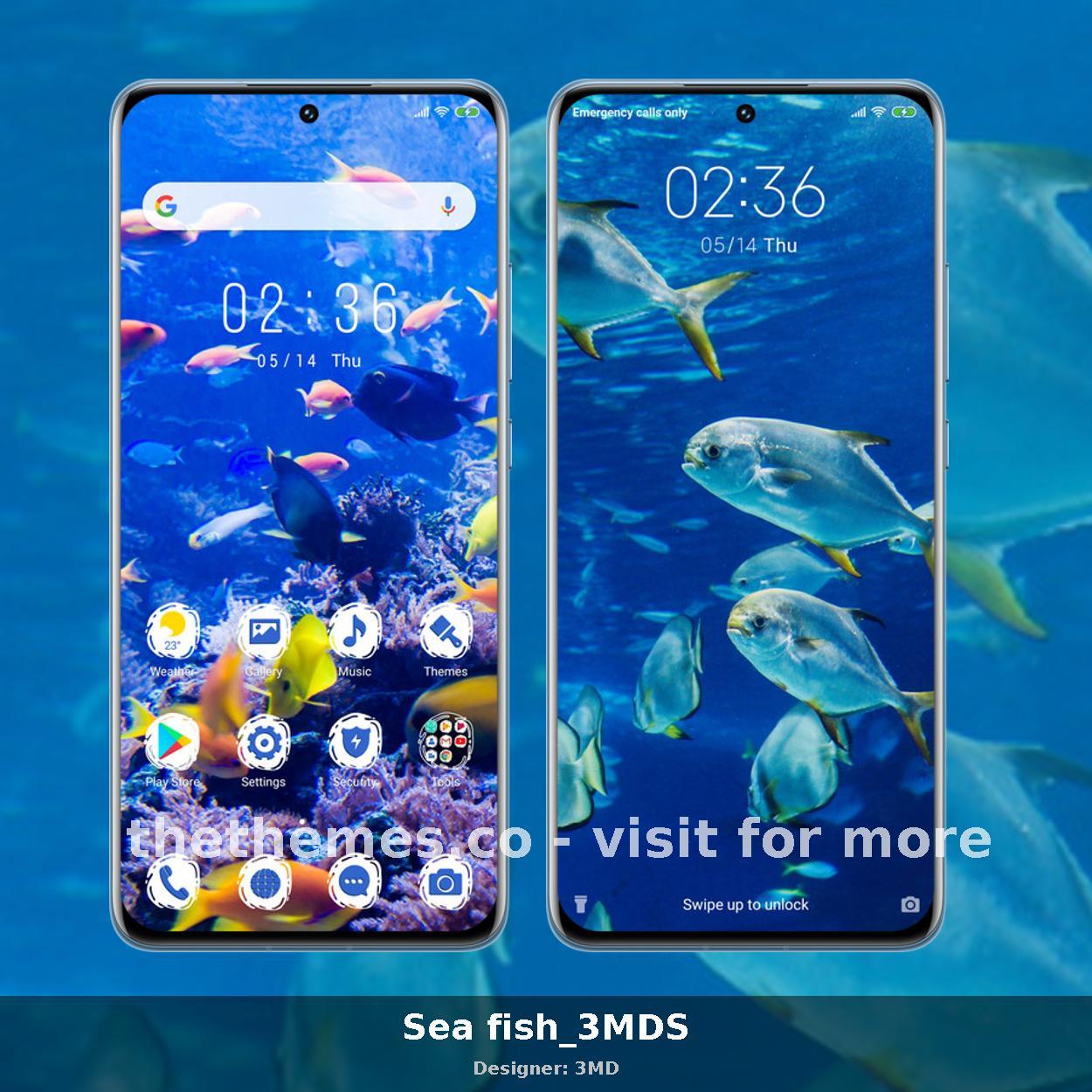 Sea fish_3MDS