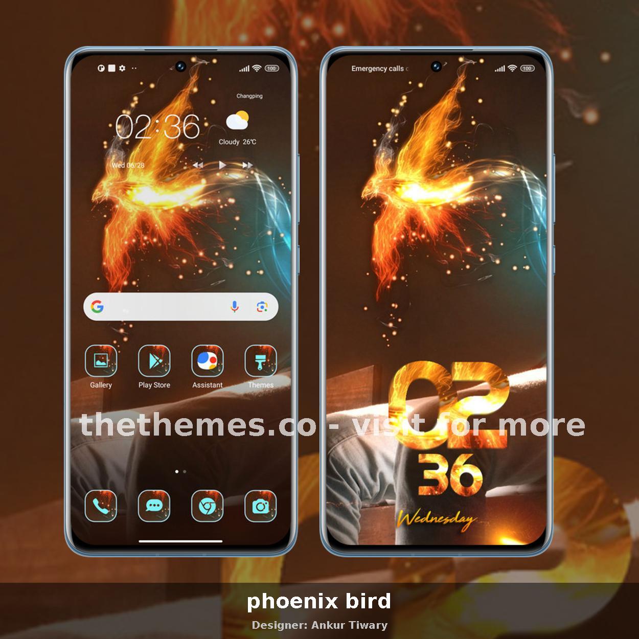phoenix bird