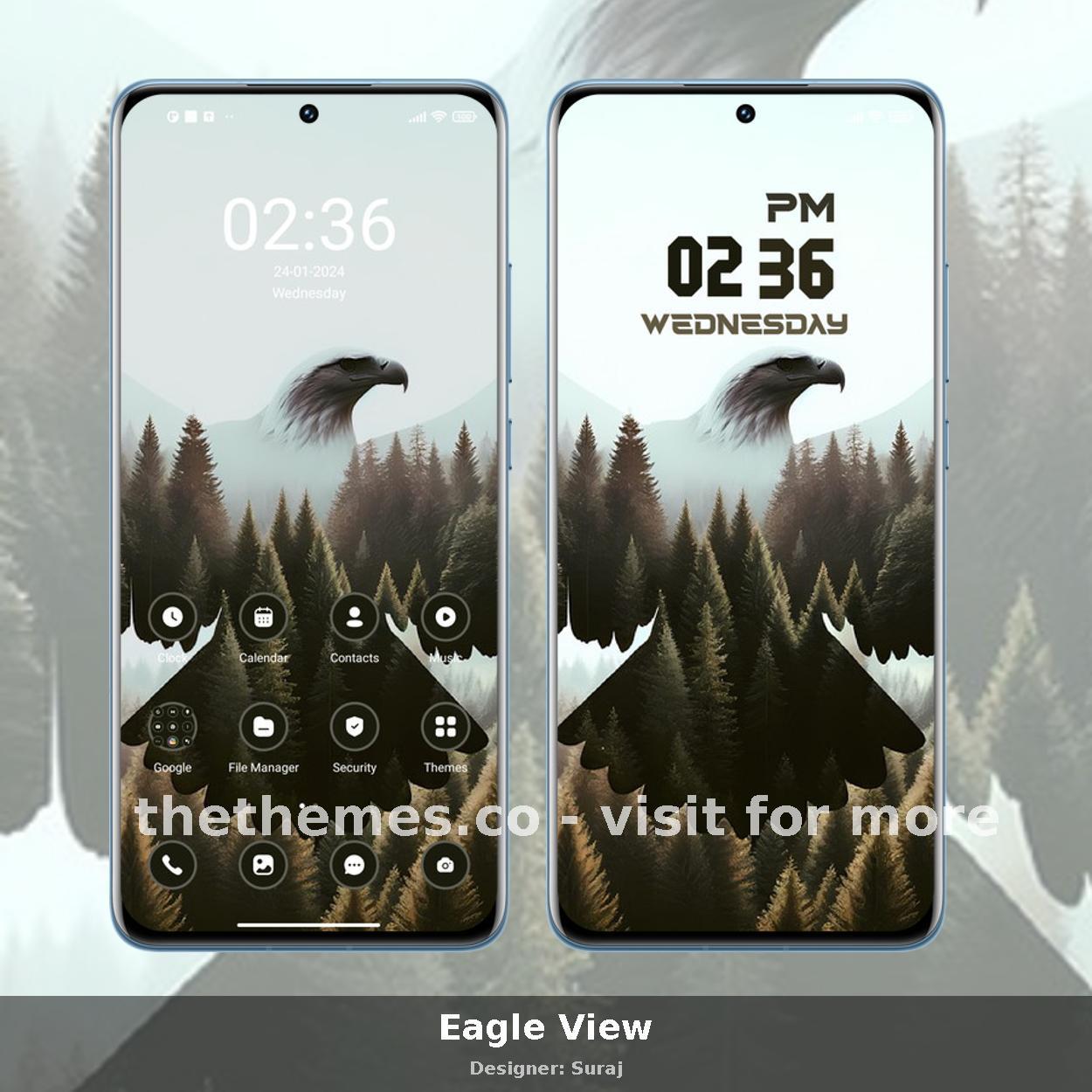 Eagle View