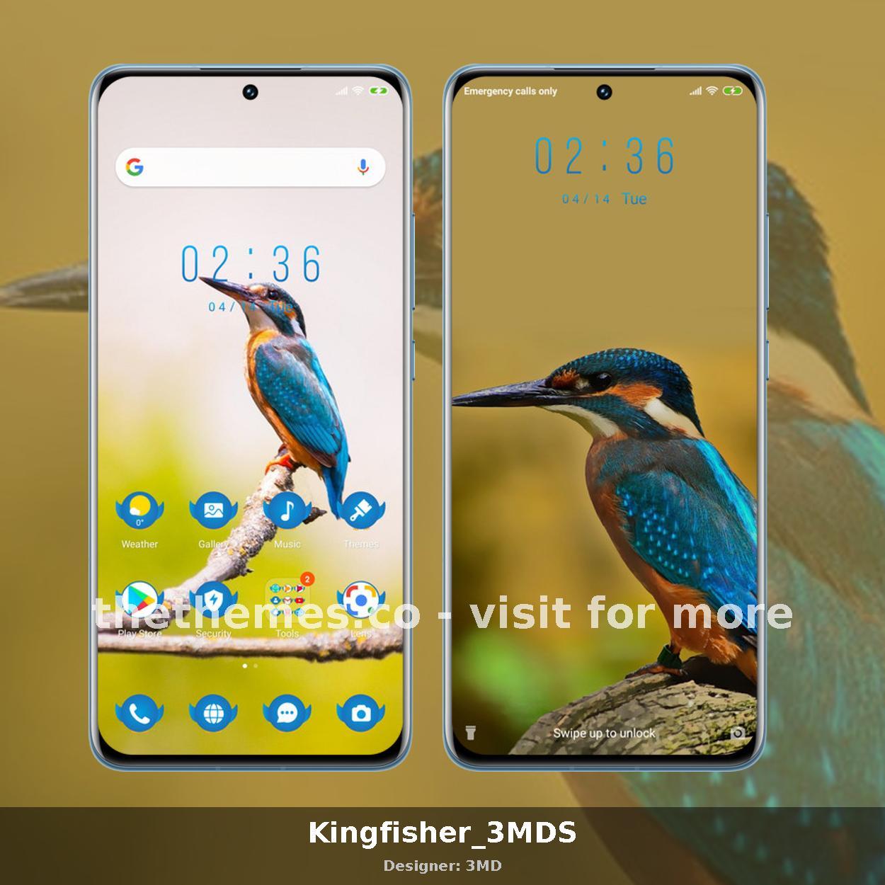 Kingfisher_3MDS