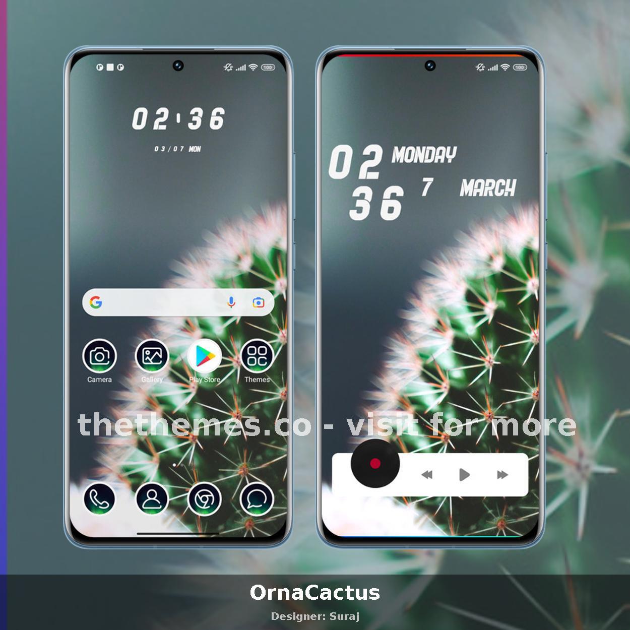 OrnaCactus