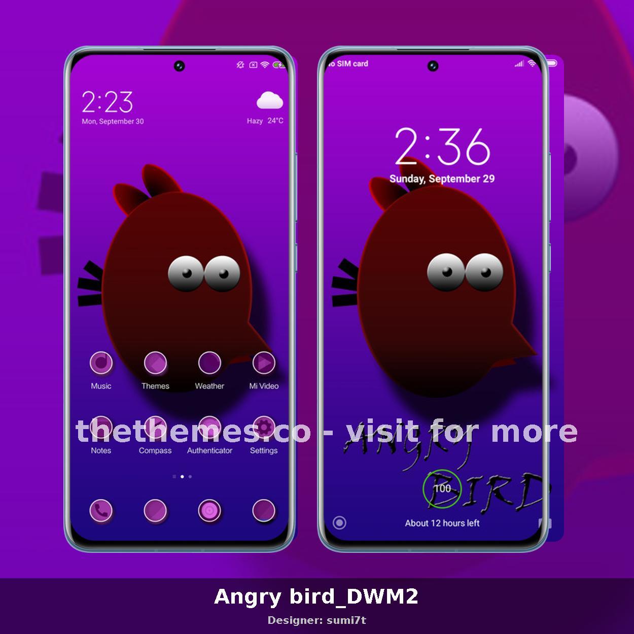 Angry bird_DWM2