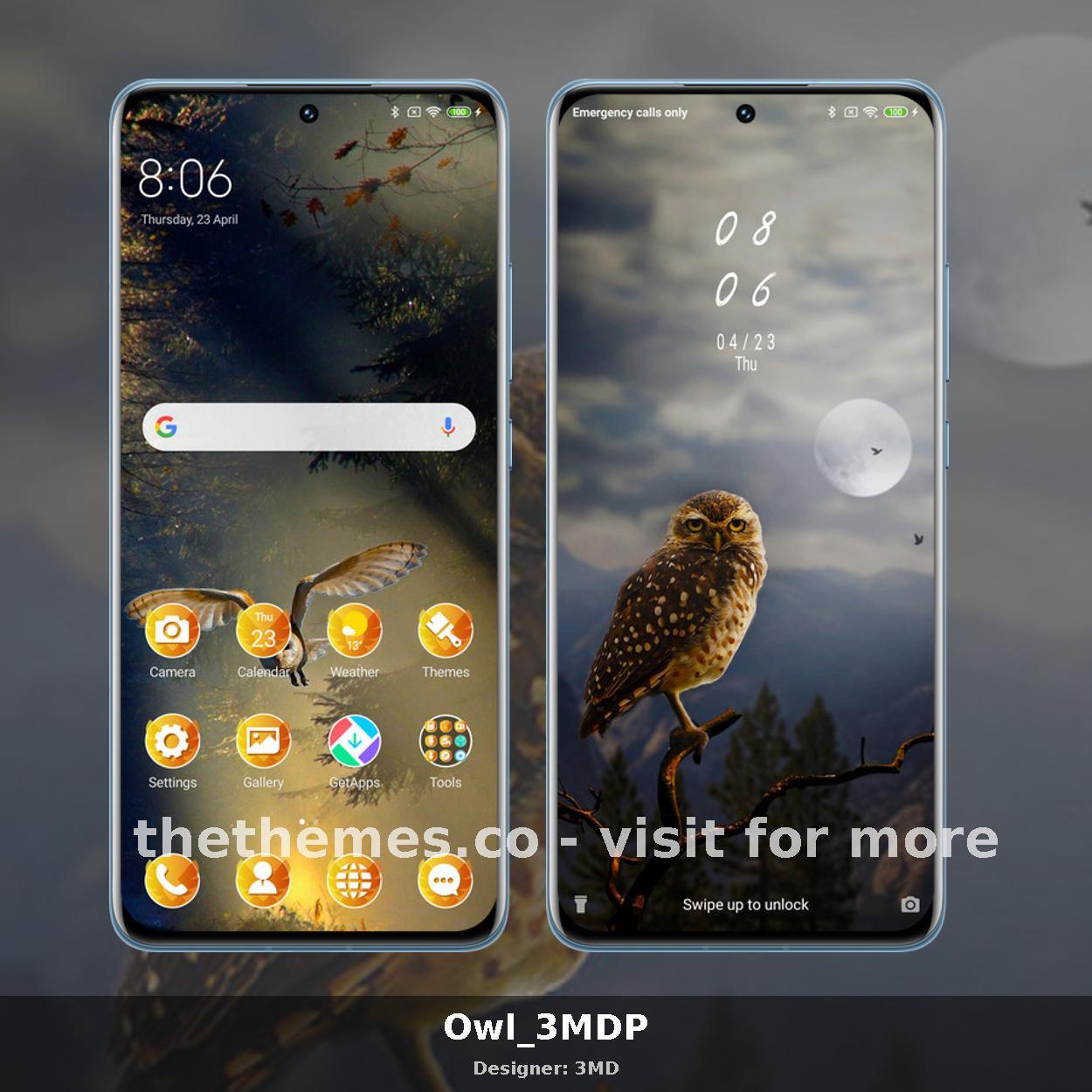 Owl_3MDP
