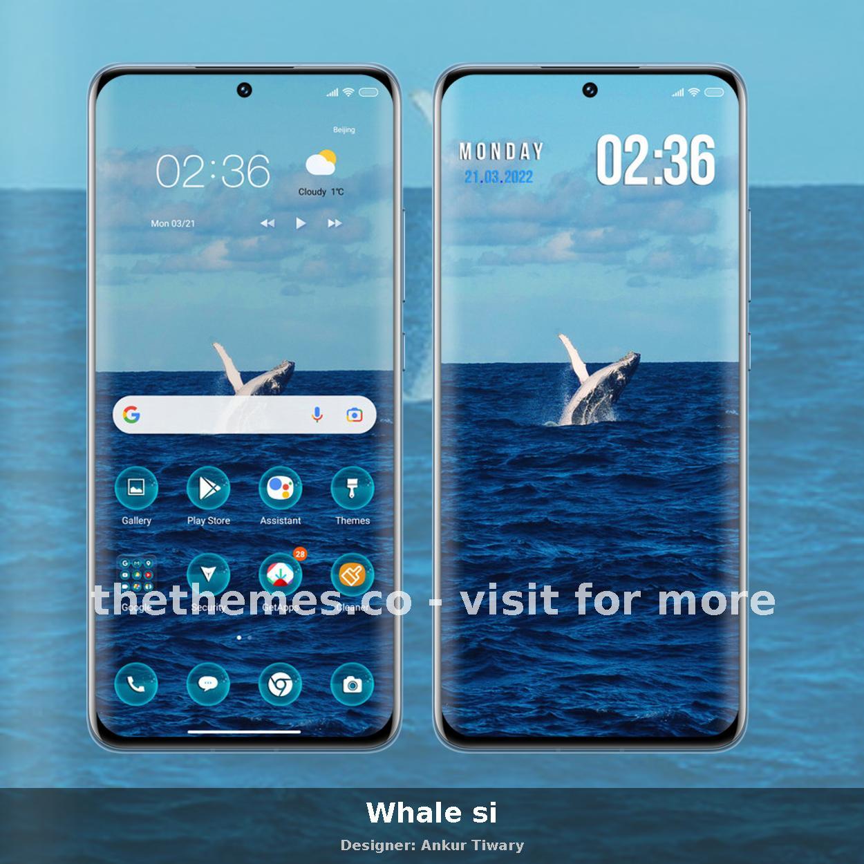 Whale si