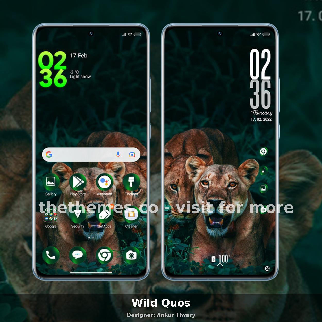 Wild Quos