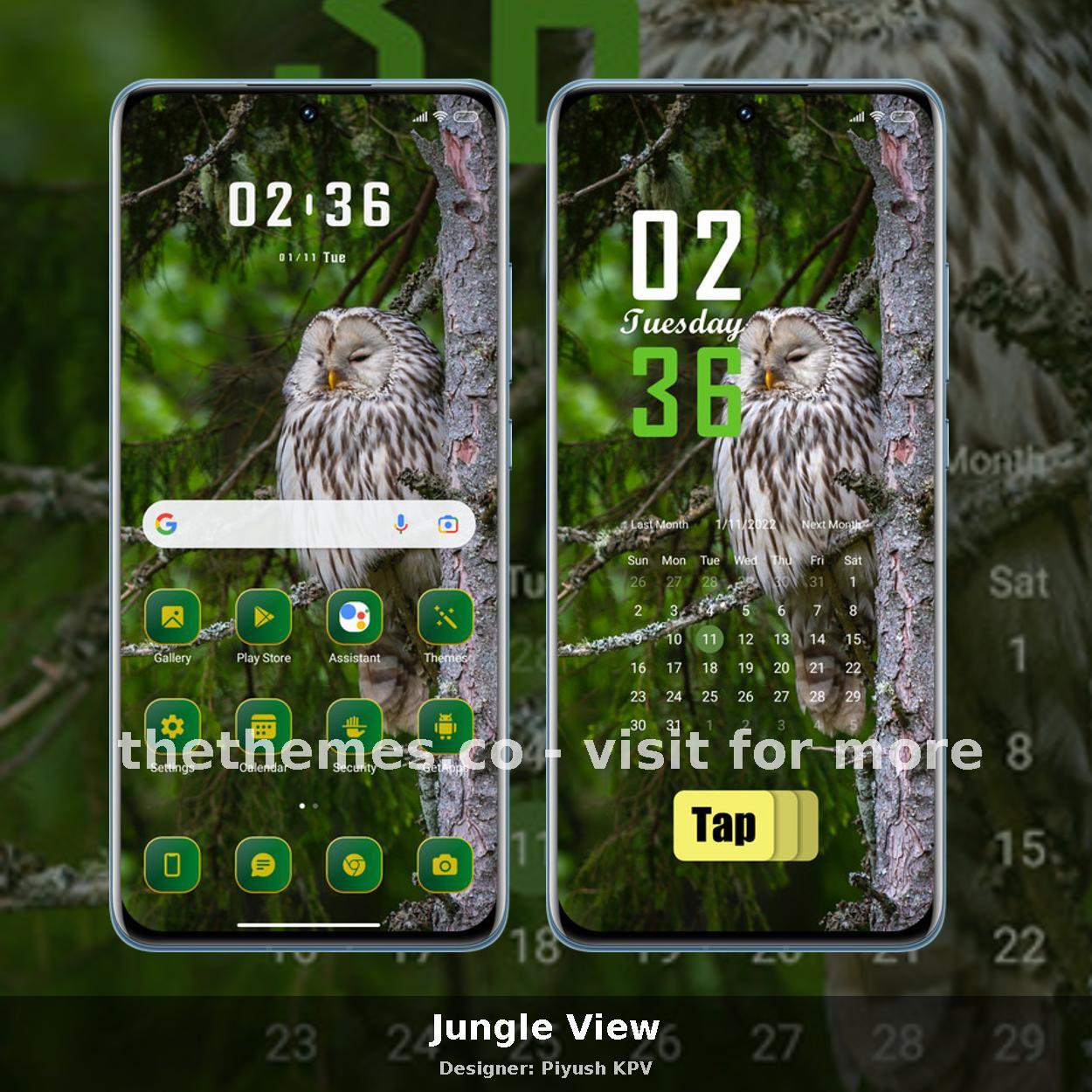 Jungle View