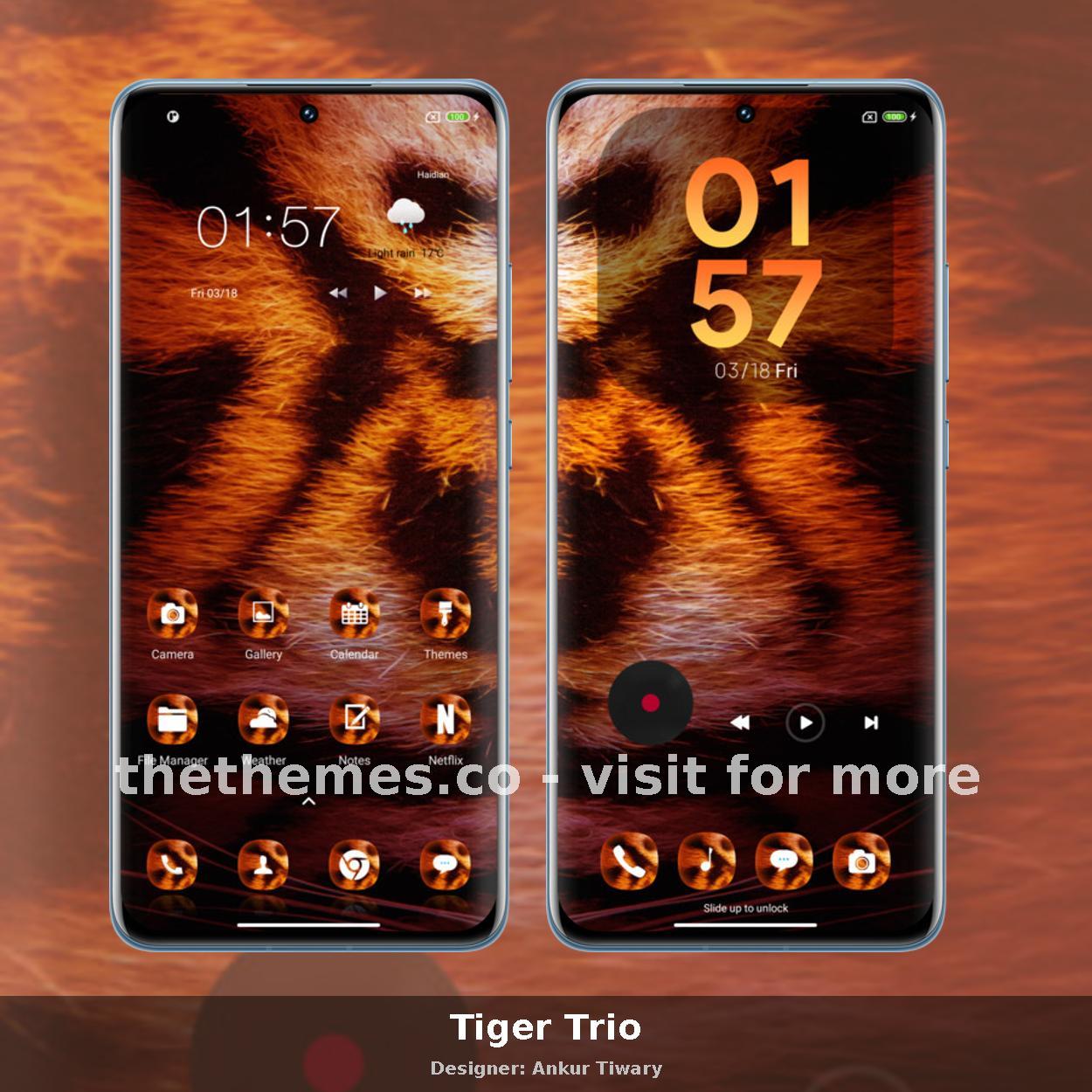 Tiger Trio