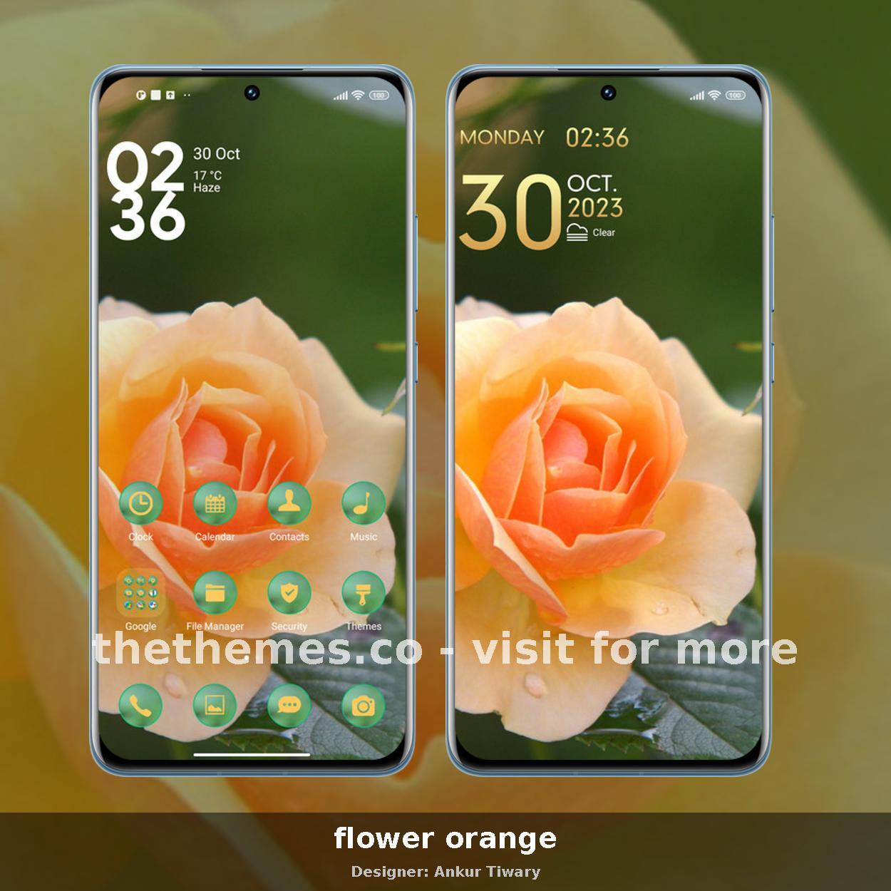 flower orange