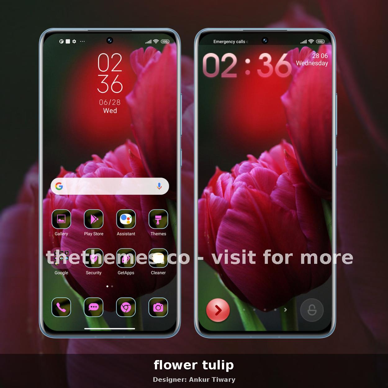 flower tulip