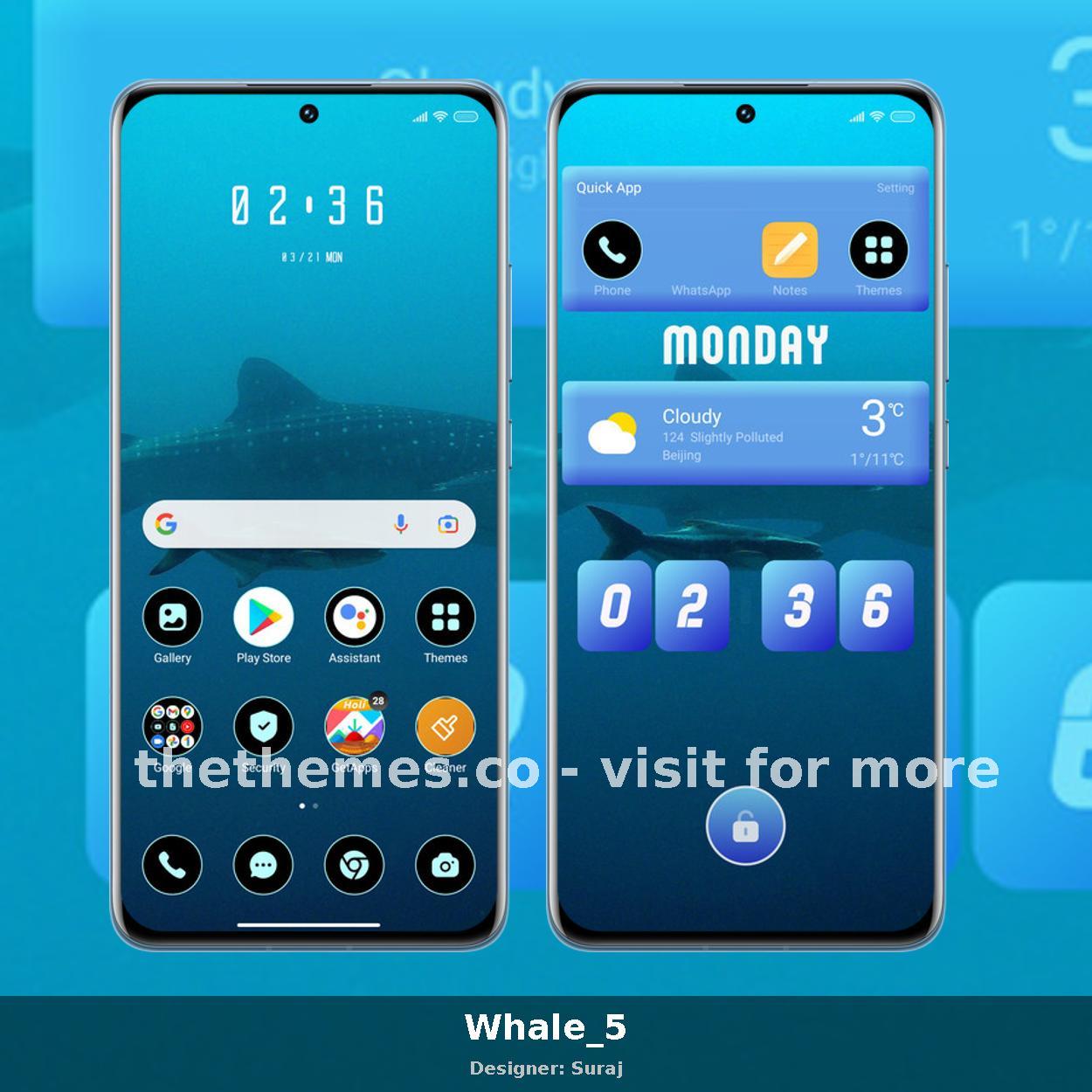 Whale_5