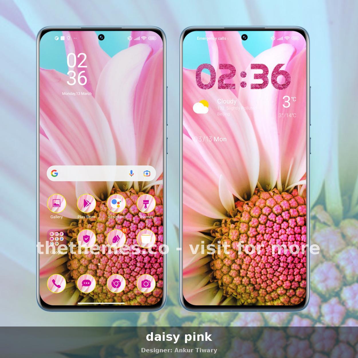 daisy pink