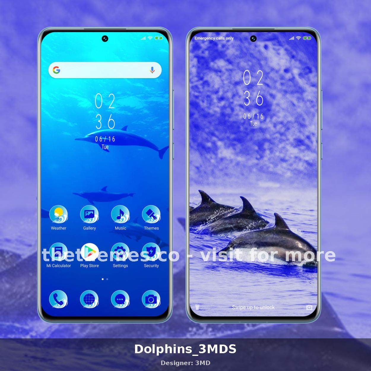 Dolphins_3MDS