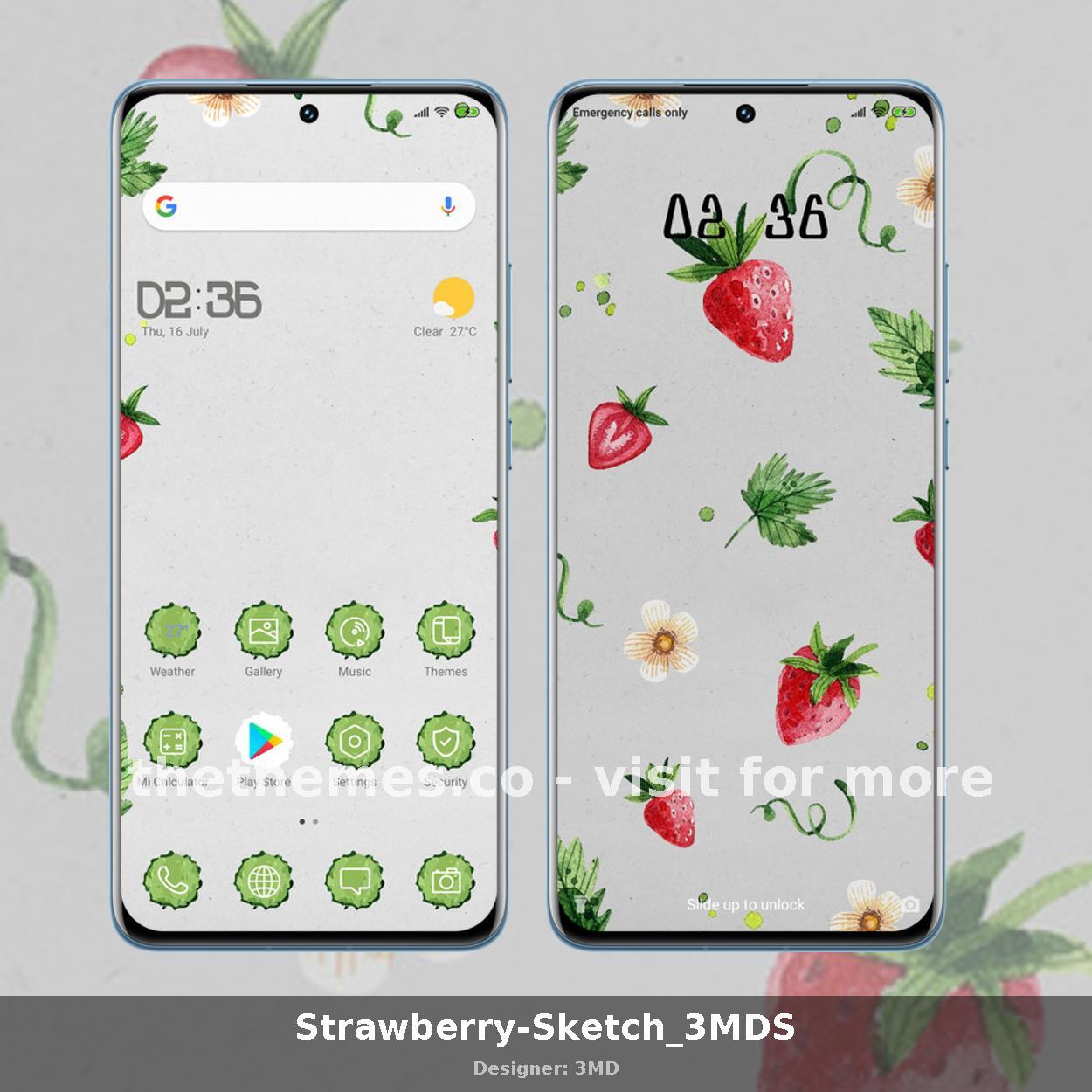 Strawberry-Sketch_3MDS